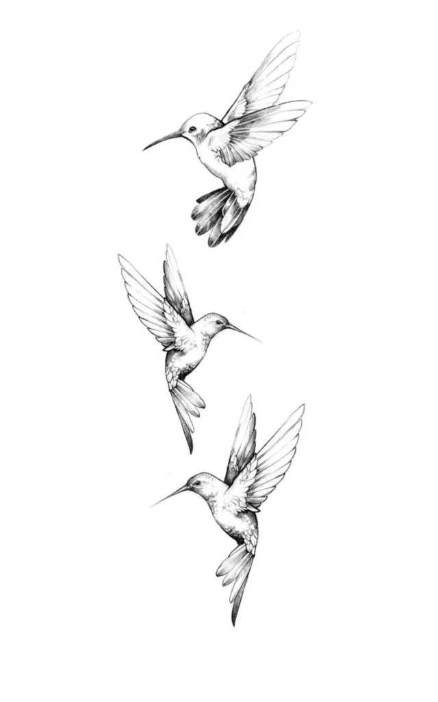 Hummingbird Tattoo Stencil 27