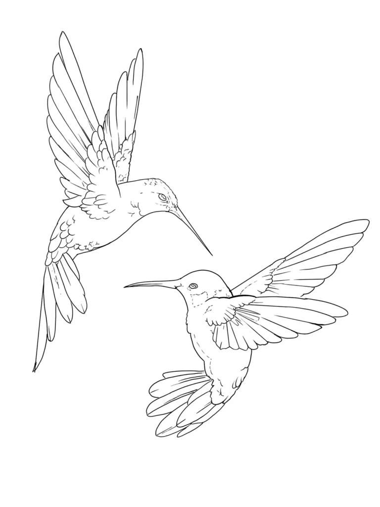 Hummingbird Tattoo Stencil 28