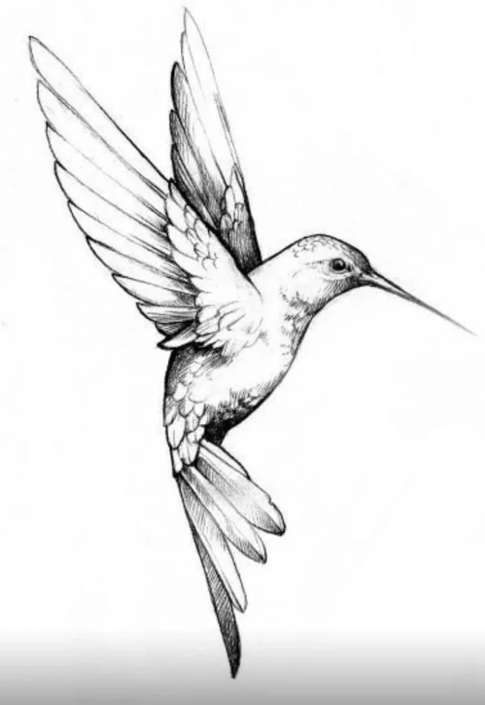Hummingbird Tattoo Stencil16
