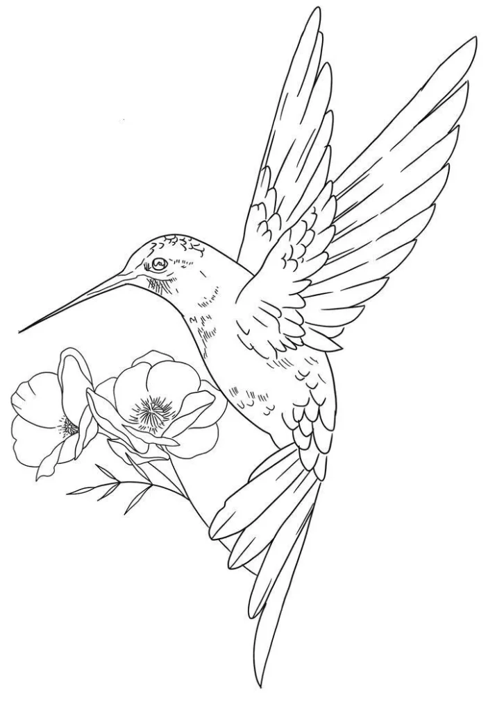 Hummingbird Tattoo Stencil20