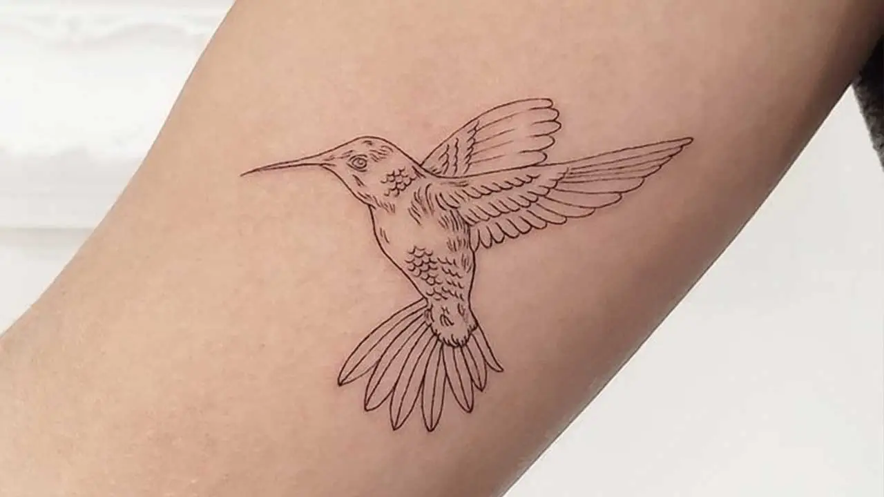 Hummingbird tattoo on back | Hummingbird tattoo, Tattoos, Back tattoo