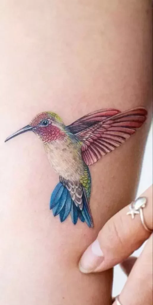hummingbird tattoo60