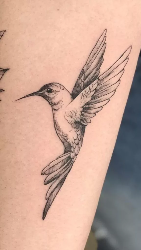hummingbird tattoo63