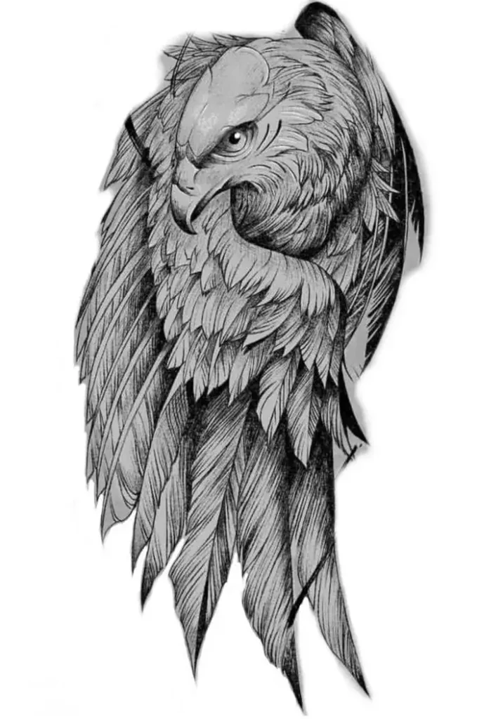 falcon tattoo stencil