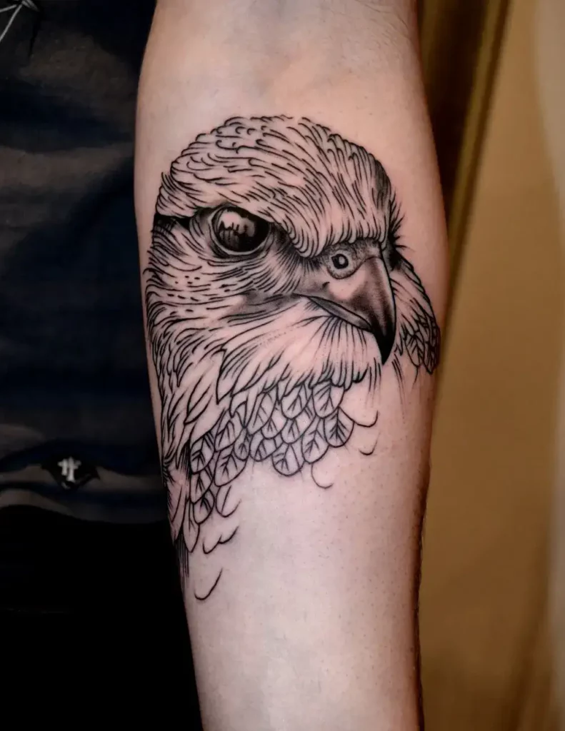 falcon tattoo12