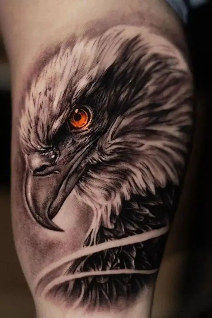 Tattoo uploaded by Joel Meyer • Eagle Falcon Bird-Realistic Tattoo Black  and Grey • Tattoodo