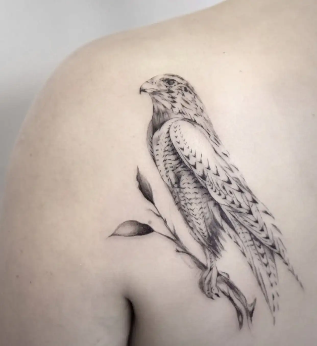 Tattoo uploaded by Robert Davies • Falcon Tattoo by Gordon Combs #falcon  #traditional #traditionalanimal #animal #traditionalartist #GordonCombs •  Tattoodo