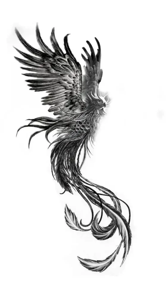 Phoenix Tattoo Stencil (5)