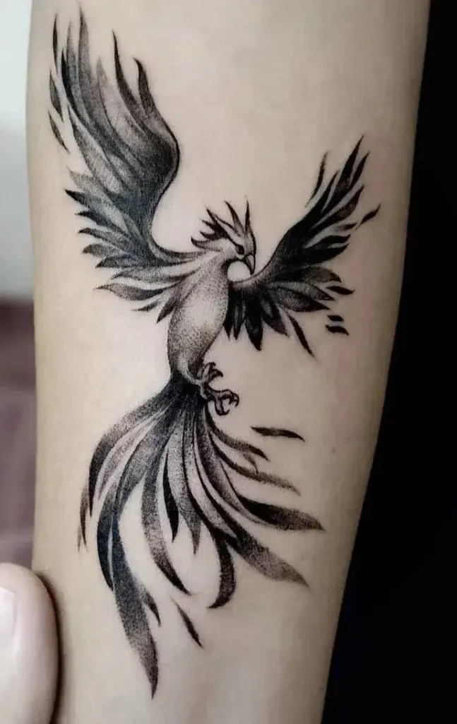 phoenix tattoo (5)