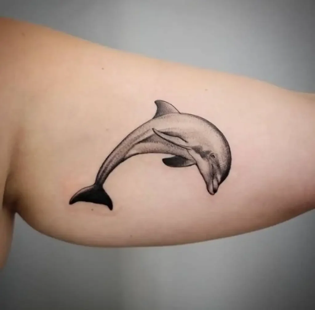 dolphin tattoo (135)