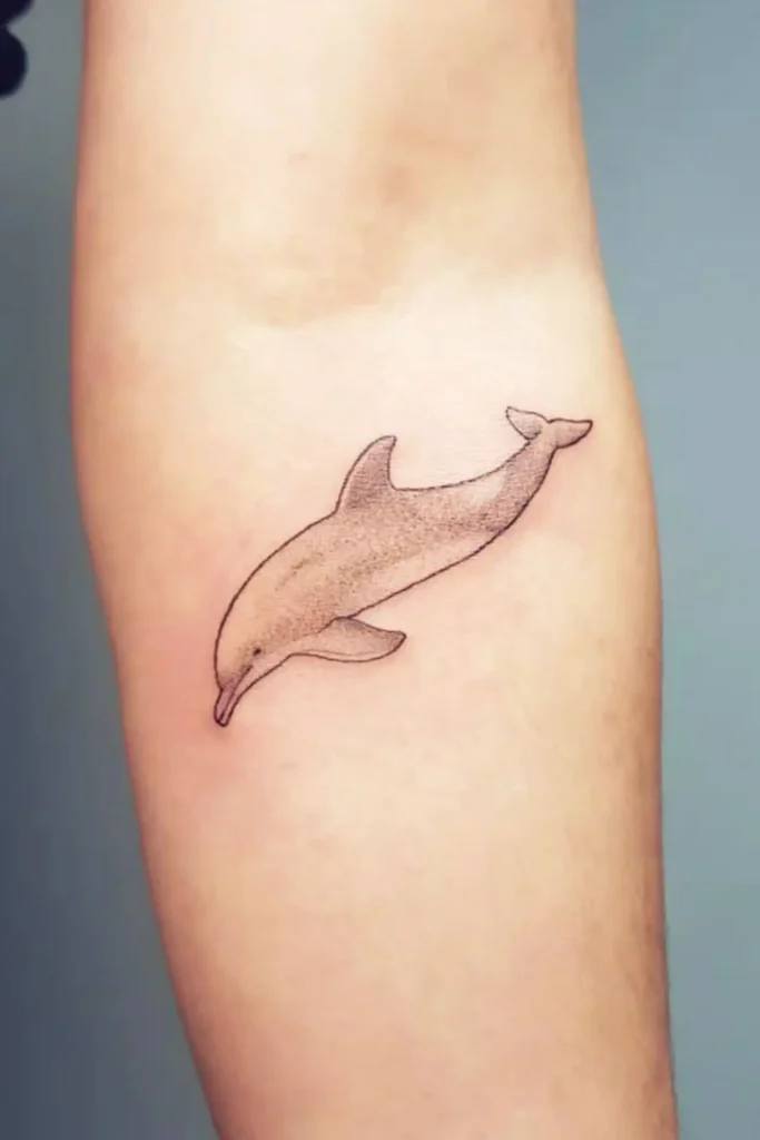 dolphin tattoo (93)