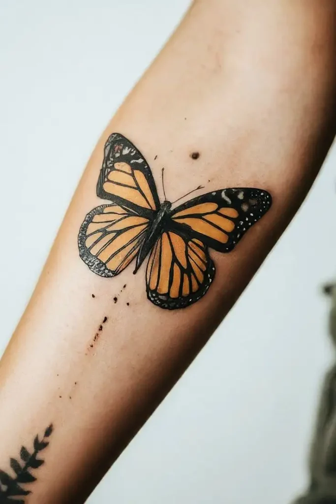 butterfly tattoo (64)