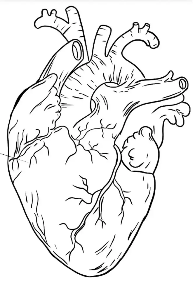 heart tattoo sketch (16)