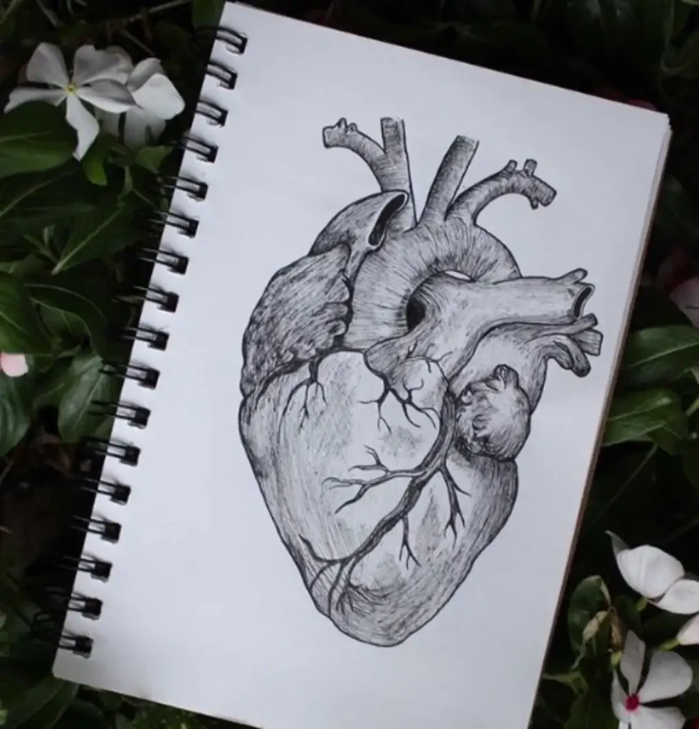 heart tattoo sketch (23)