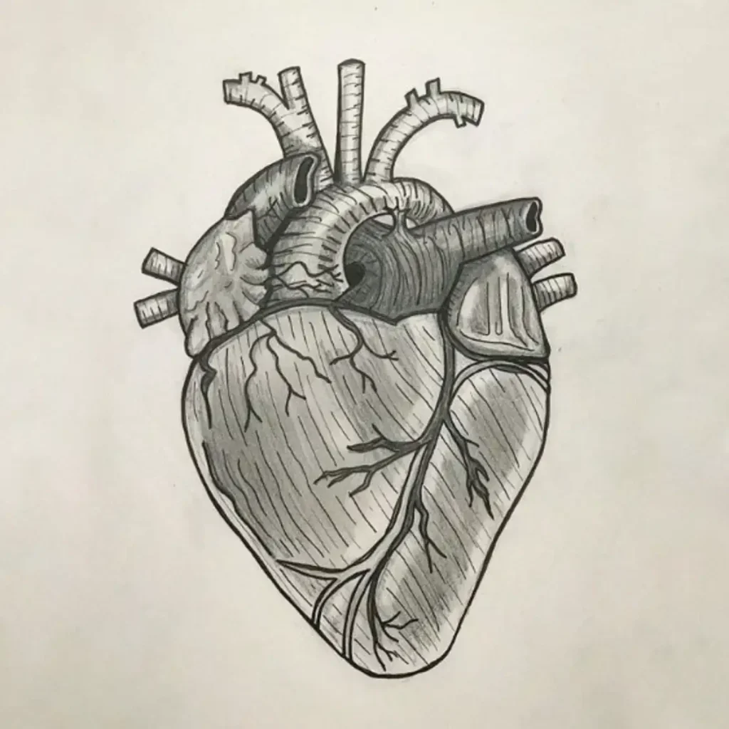 heart tattoo sketch (28)