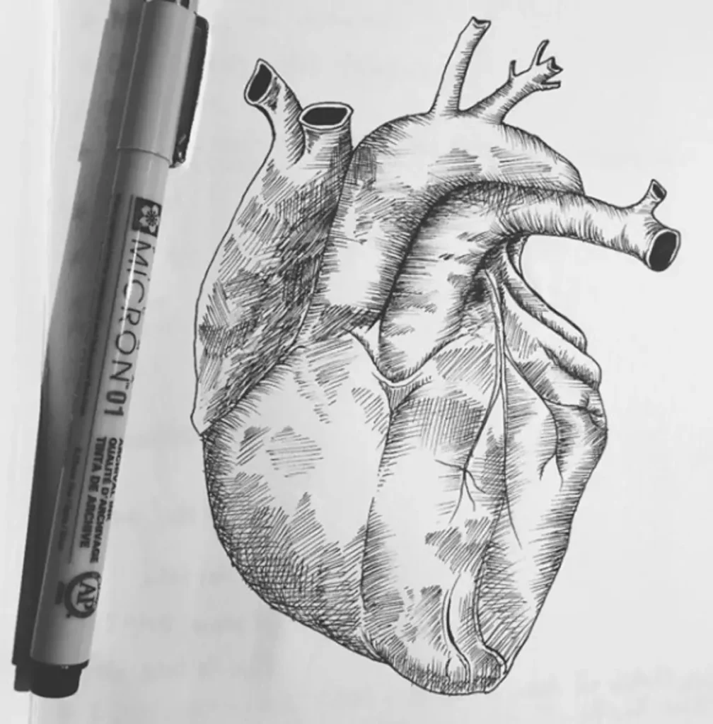 heart tattoo sketch (29)