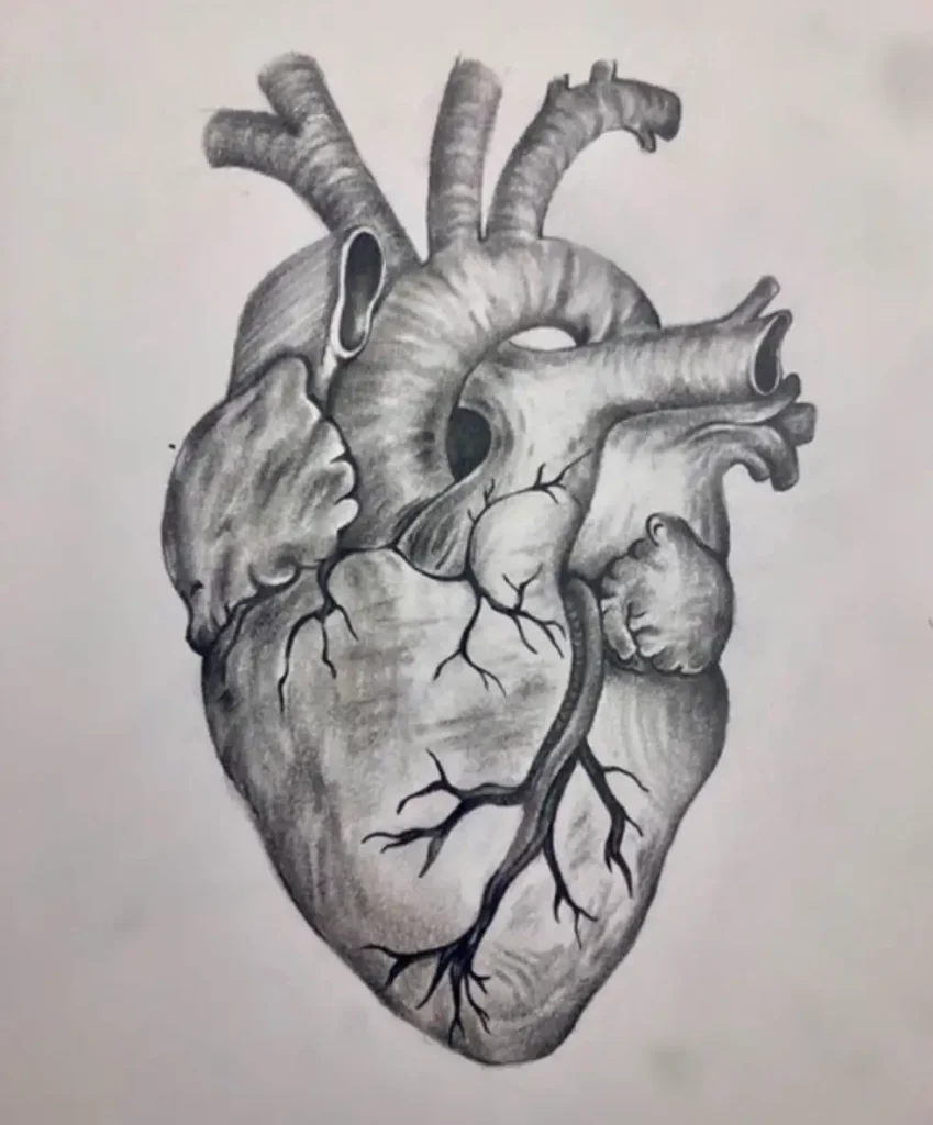 heart tattoo sketch (54)