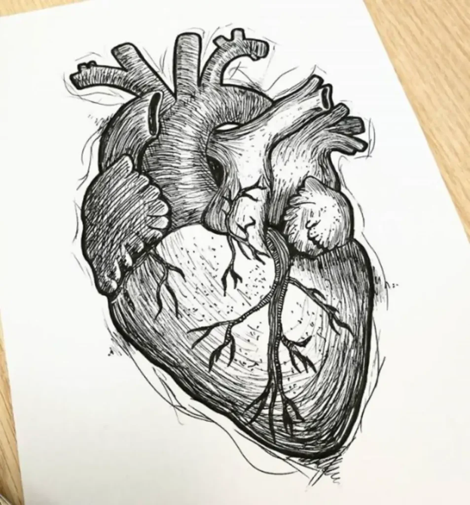 heart tattoo sketch (56)