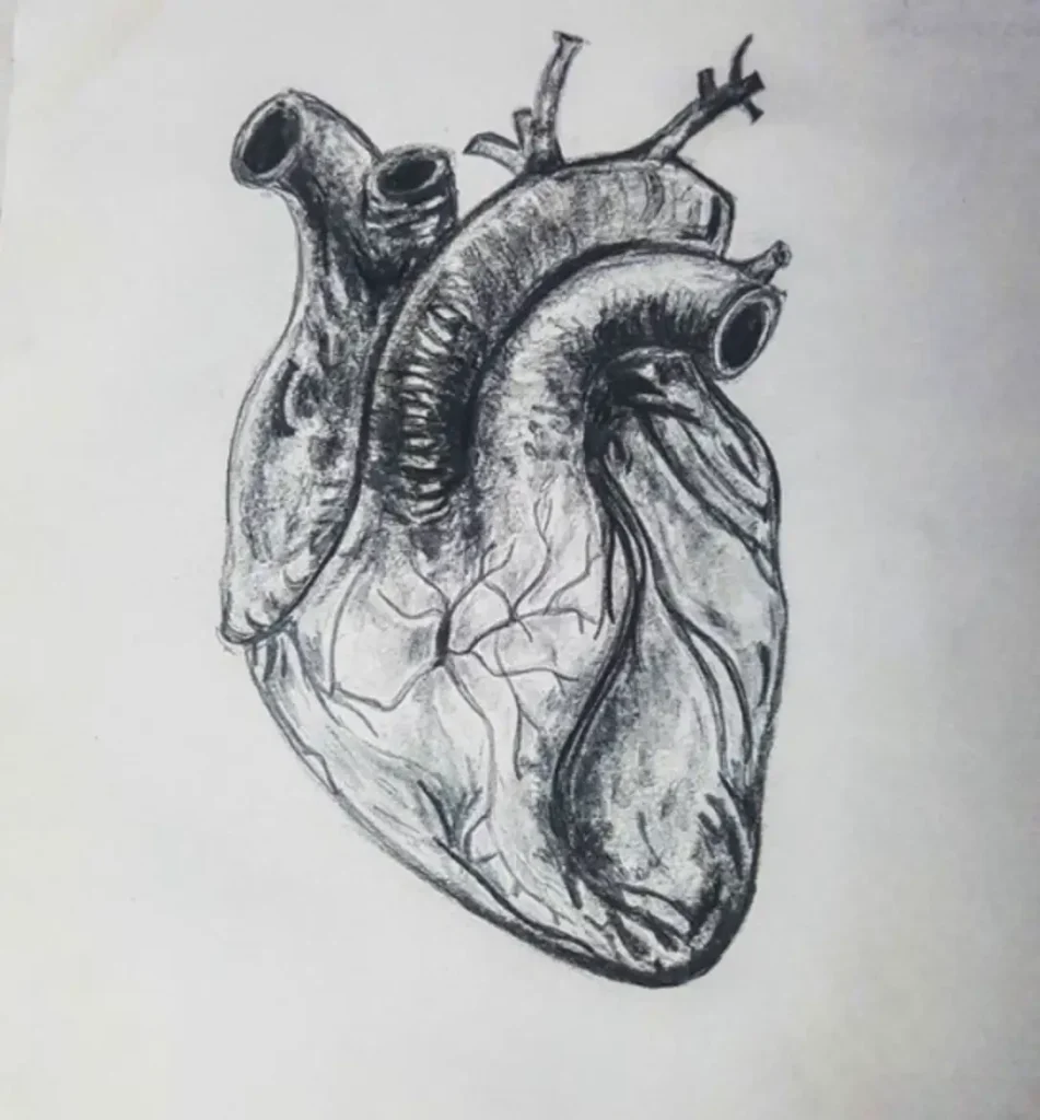 heart tattoo sketch (63)