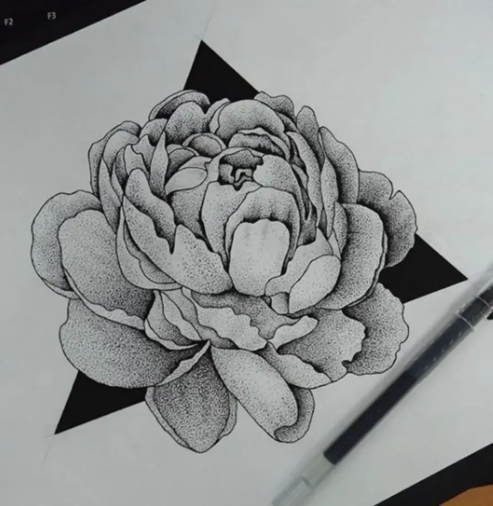 peony tattoo sketch (3)