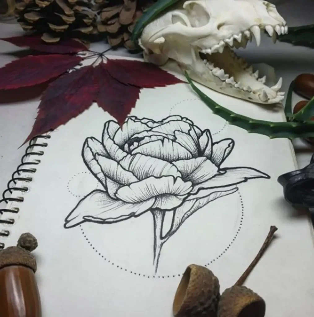 peony tattoo sketch (58)