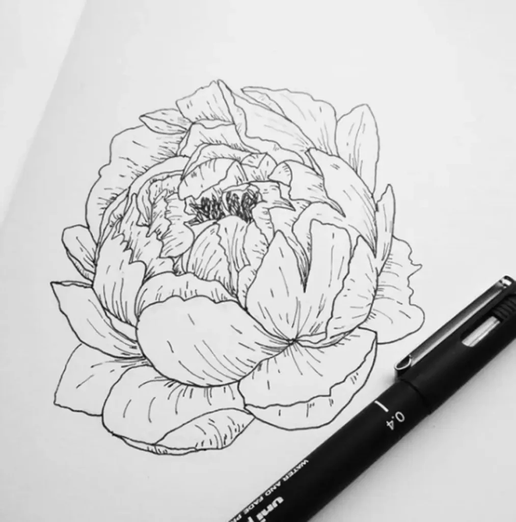 peony tattoo sketch (6)