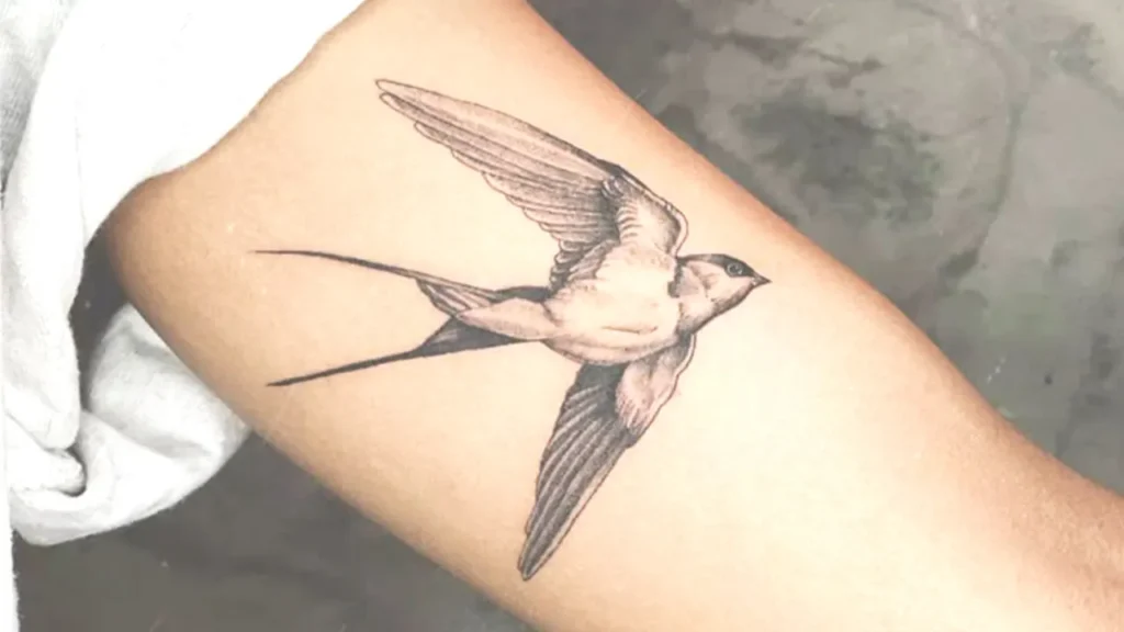 Swallow Tattoo