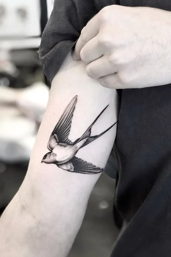 Swallow Tattoo (34)