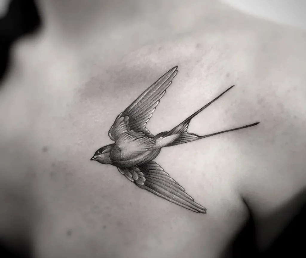 Swallow Tattoo (41)