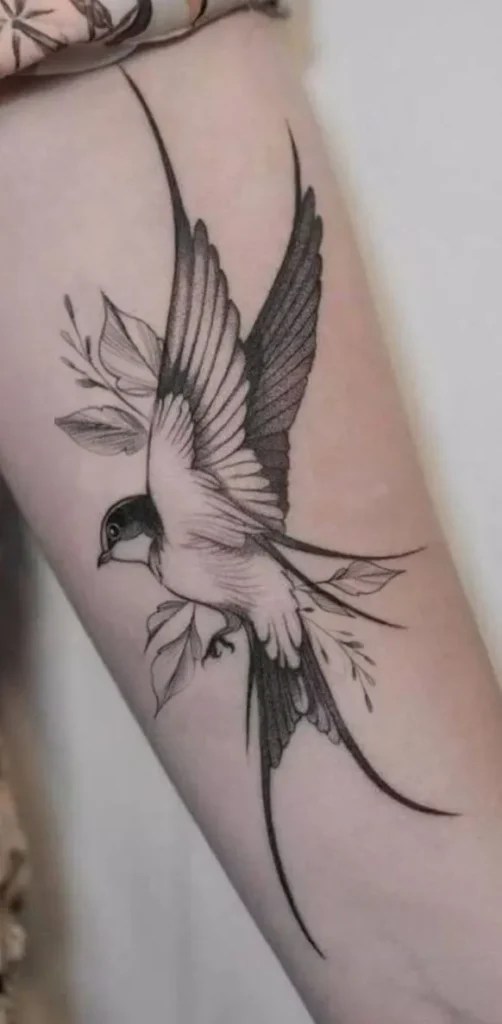 Swallow Tattoo (75)