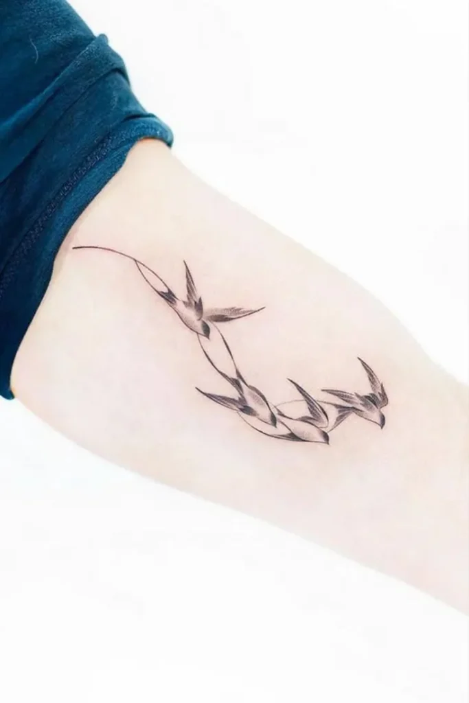 swallow tattoos