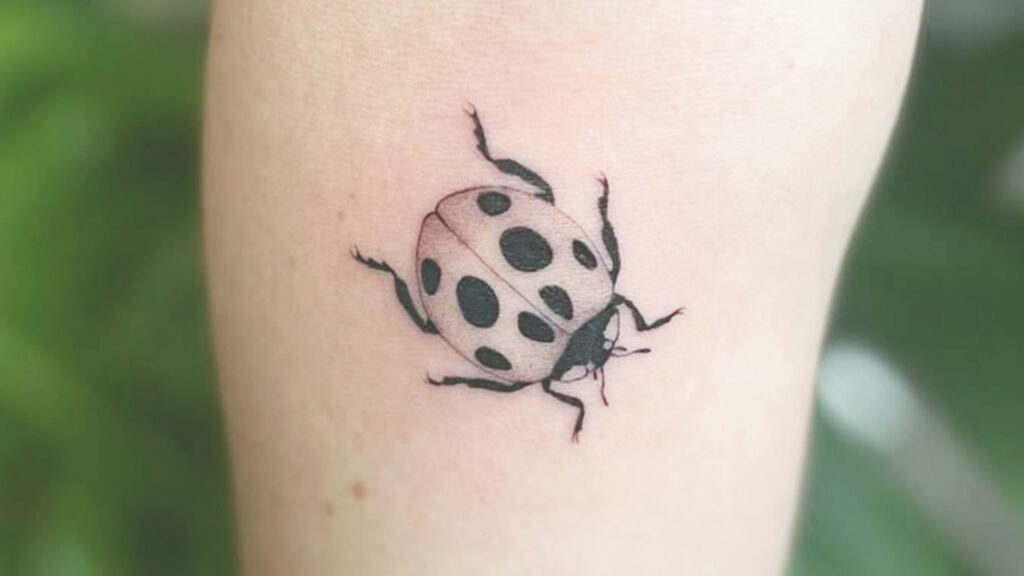 Ladybug Tattoo