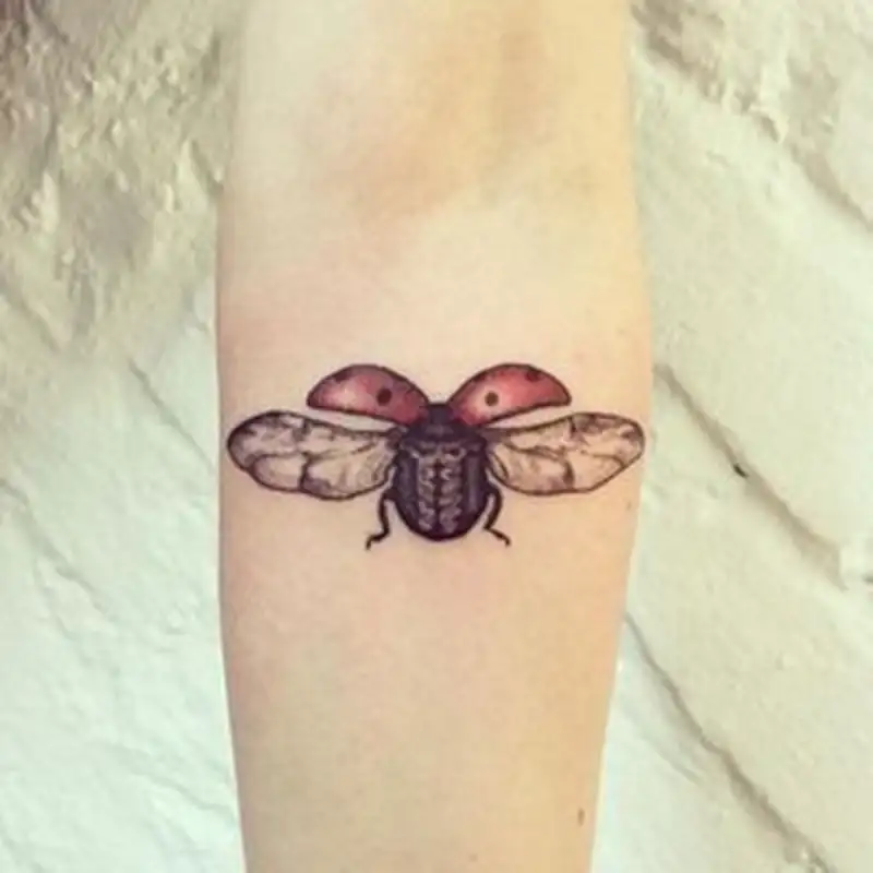 Ladybug Tattoo (104)