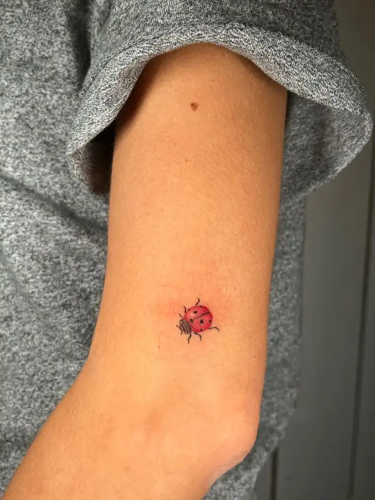 Ladybug Tattoo (115)