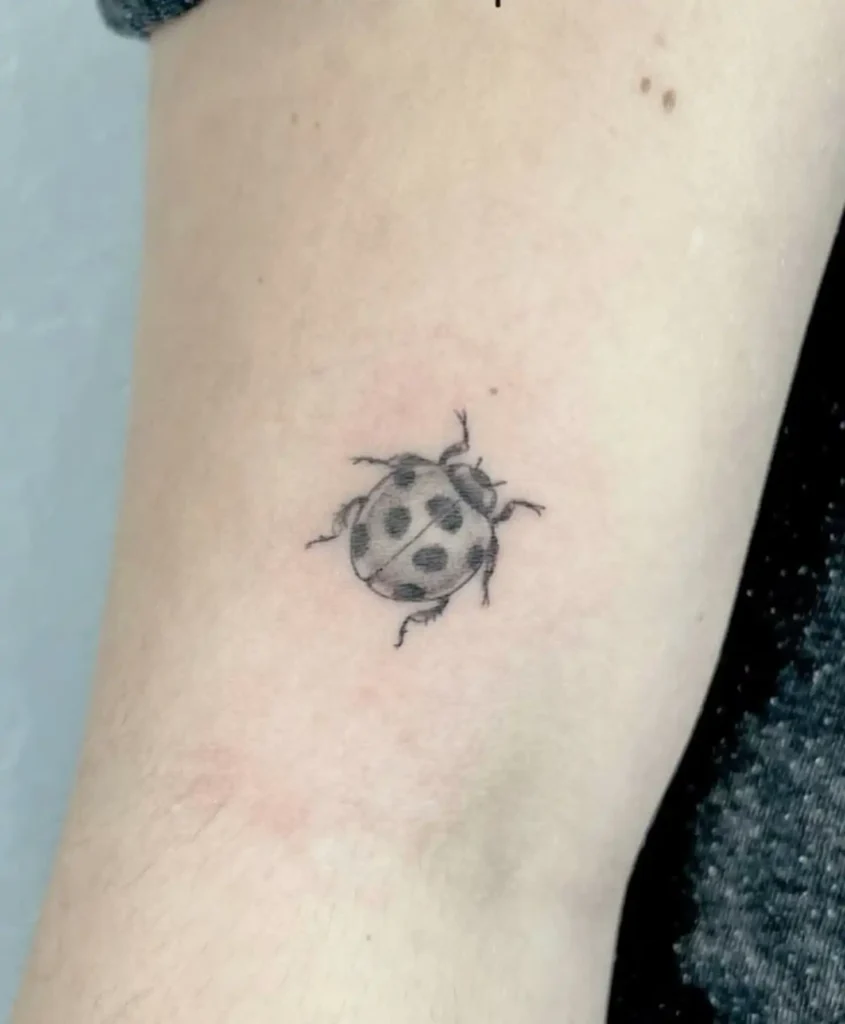 Ladybug Tattoo (151)