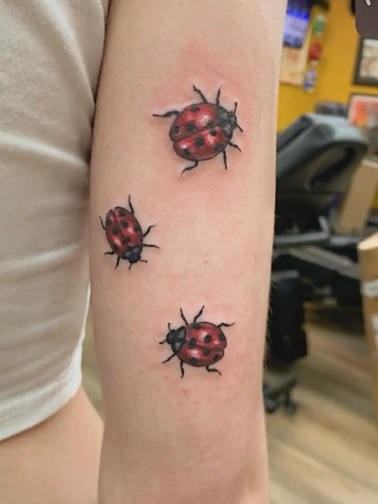 Ladybug Tattoo (152)
