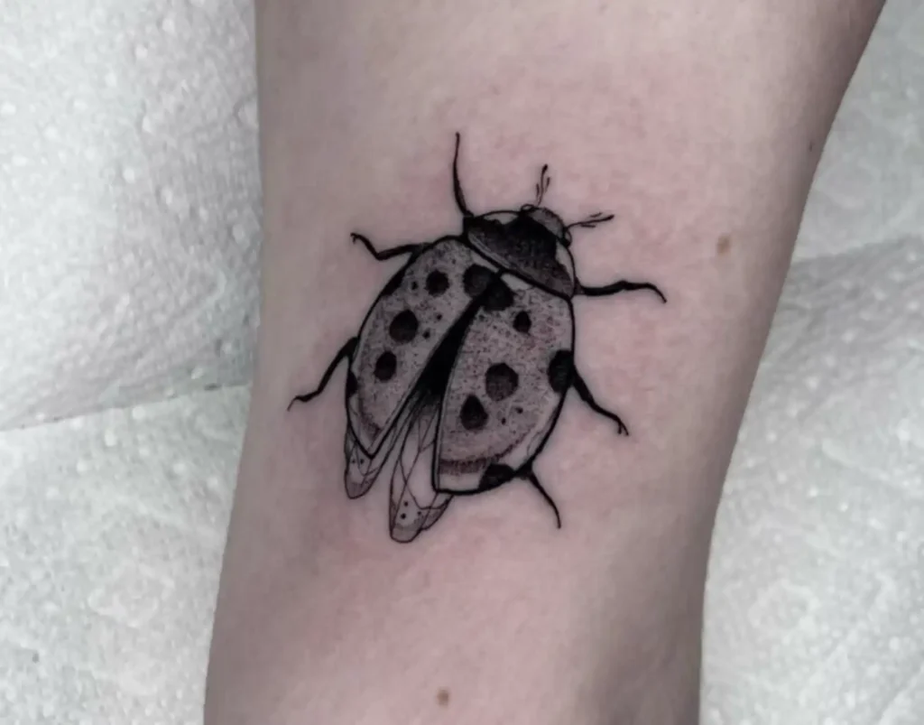 Ladybug Tattoo (160)