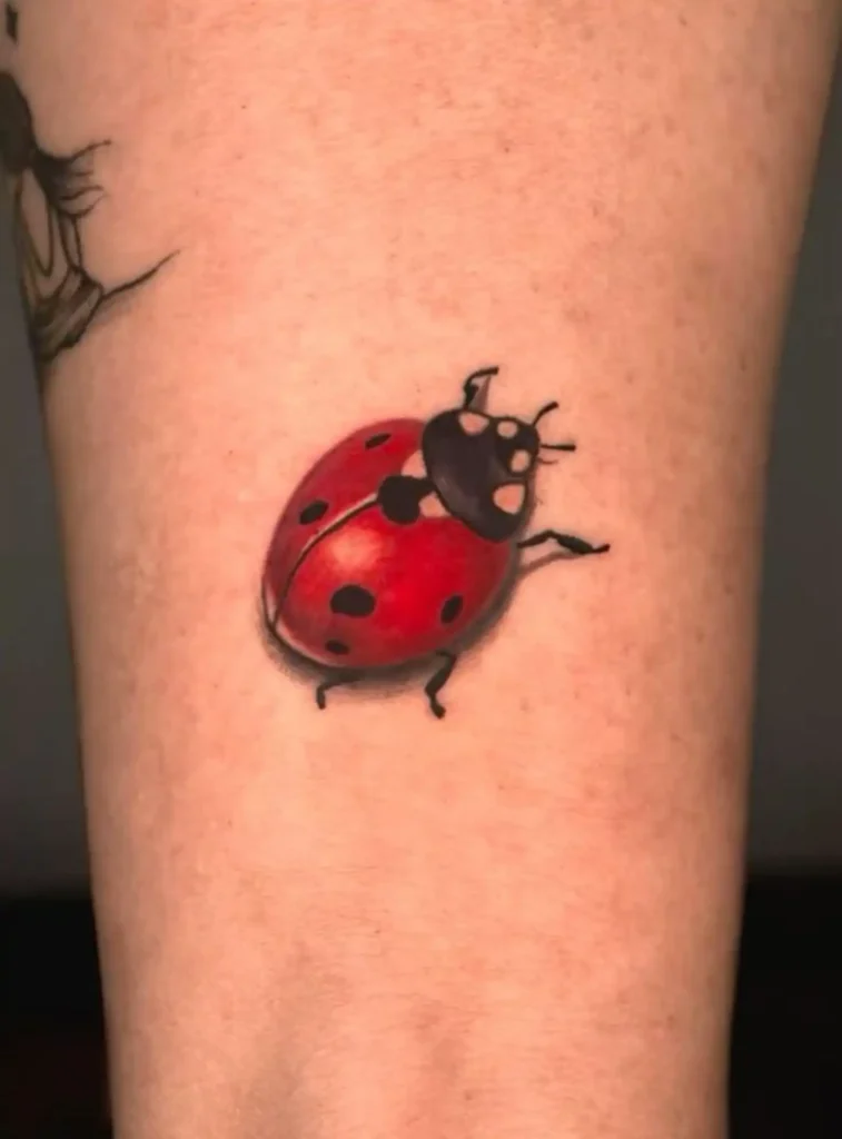 Ladybug Tattoo (166)