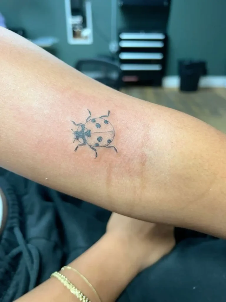 Ladybug Tattoo (170)
