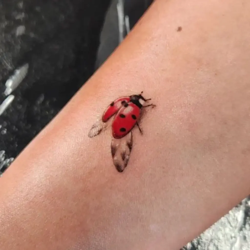 Ladybug Tattoo (197)