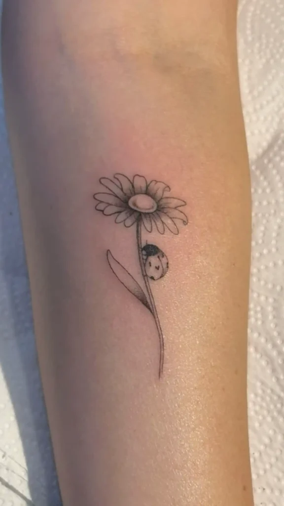 Ladybug Tattoo (200)