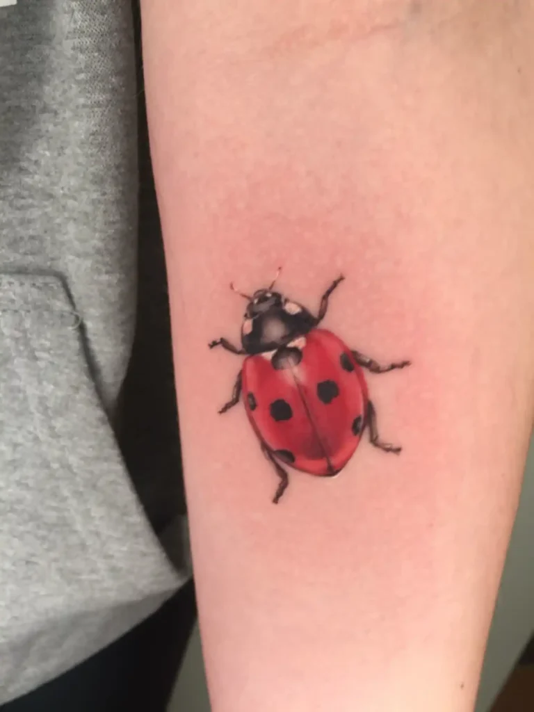 Ladybug Tattoo (201)