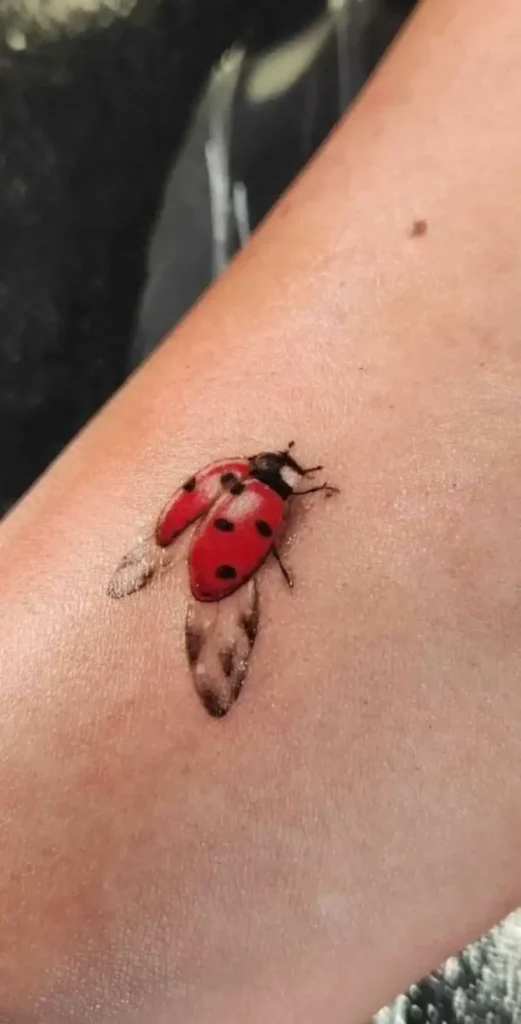 Ladybug Tattoo (21)