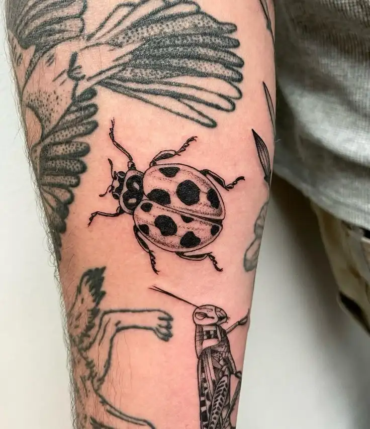 Ladybug Tattoo (210)