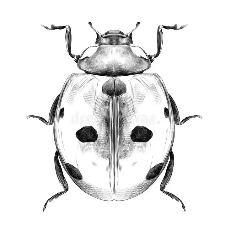 Ladybug Tattoo Stencil (15)
