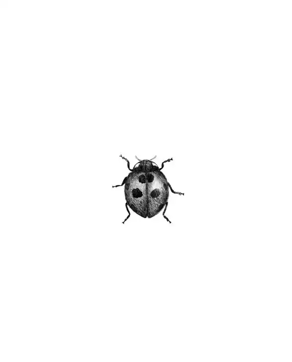 Ladybug Tattoo Stencil (2)