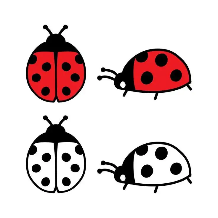 Ladybug Tattoo Stencil (22)