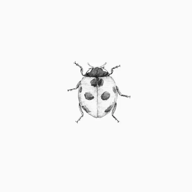 Ladybug Tattoo Stencil (24)
