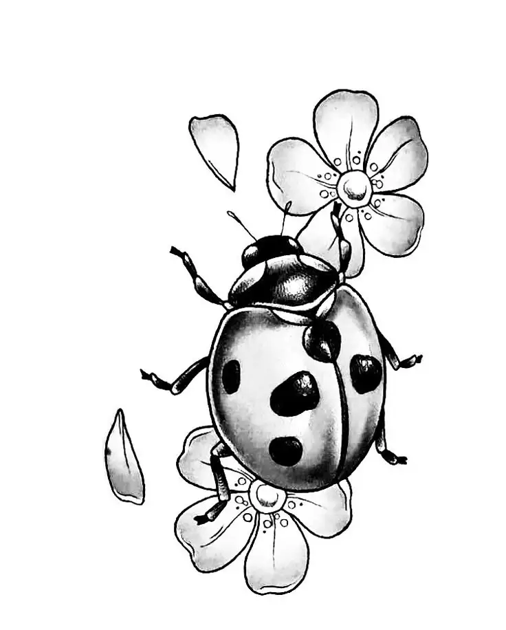 Ladybug Tattoo Stencil (31)