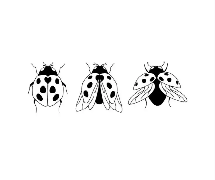 Ladybug Tattoo Stencil (40)